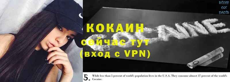 цена   Сатка  Cocaine 99% 